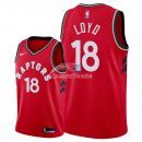Camisetas NBA de Jordan Loyd Toronto Raptors Rojo Icon 2018
