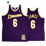 Camisetas NBA Los Angeles Lakers NO.6 LeBron James Purpura Throwback 2022
