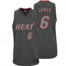 Camisetas NBA de Lebron James Miami Heats Rev30 Gris
