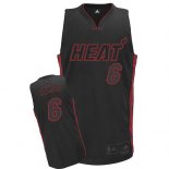 Camisetas NBA de alternativa Lebron James Miami Heats
