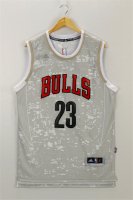 Camisetas NBA Luces Ciudad Jordan Chicago Bulls Gris
