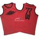 Camisetas NBA de Michael Jordan Chicago Bulls Flying Wing Logo Rojo