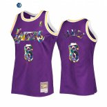 Camisetas NBA Los Angeles Lakers NO.6 LeBron James 75th Diamante Purpura Hardwood Classics 2022