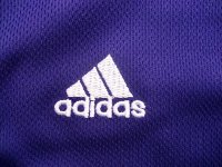 Camisetas NBA de Steve Nash Los Angeles Lakers Púrpura