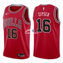 Camisetas NBA de Paul Zipser Chicago Bulls Rojo Icon 17/18