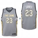 Camiseta NBA Ninos Cleveland Cavaliers LeBron James Nike Gris Ciudad 17/18