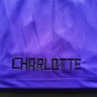 Pantalon NBA de Charlotte Hornets Azul