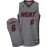 Camisetas NBA Miami Heat 2013 Moda Estatica James