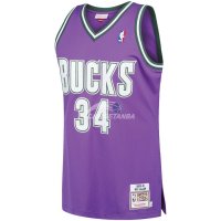 Camisetas NBA Milwaukee Bucks Ray Allen Púrpura Hardwood Classics 2000-01