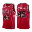 Camisetas NBA de Denzel Valentine Chicago Bulls Rojo Icon 17/18